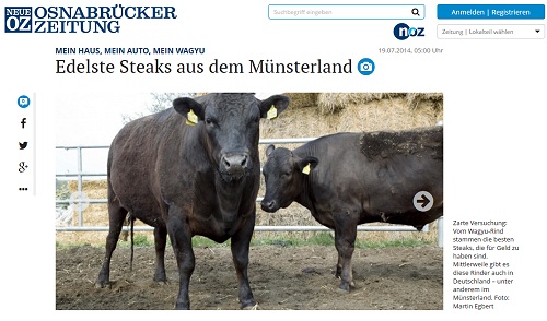 Neue Osnabrücker Zeitung Juli 2014